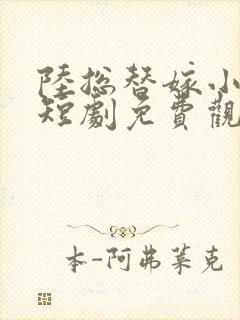 陆总替嫁小宠妻短剧免费观看全集