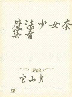 魔法少女奈叶全集看