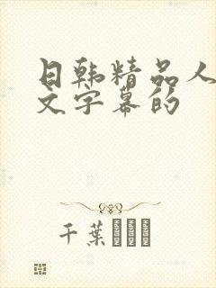 日韩精品人妻中文字幕的