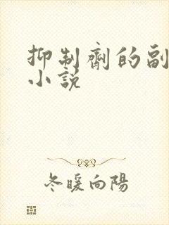 抑制剂的副作用小说封面