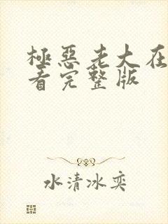 极恶老大在哪里看完整版