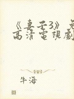 《妻子3》免费高清电视剧完整版封面