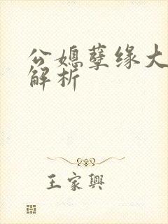 公媳孽缘大结局解析封面