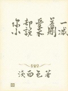 你却爱着一个他小说未删减版封面