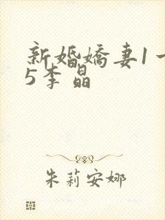新婚娇妻1一25李晶封面