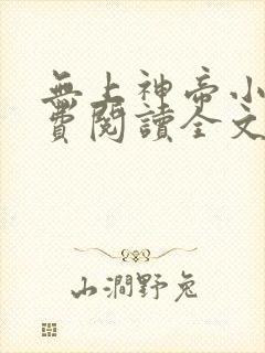 无上神帝小说免费阅读全文无弹窗