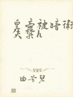 皇帝被暗卫肉到失禁h