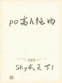 po高h纯肉封面