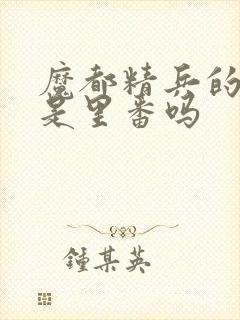 魔都精兵的奴隶是里番吗