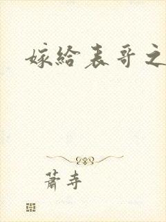嫁给表哥之后封面