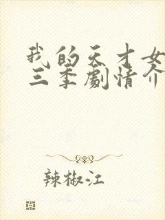 我的天才女友第三季剧情介绍封面