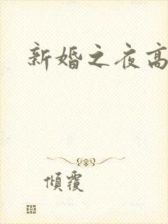 新婚之夜高h