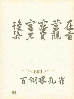 后宫露营在线全集免费观看