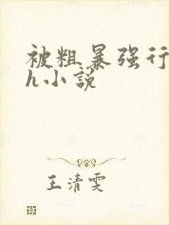 被粗暴强行玩弄h小说