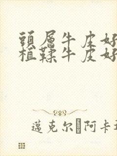 头层牛皮好还是植鞣牛皮好封面