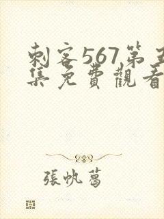 刺客567第五集免费观看