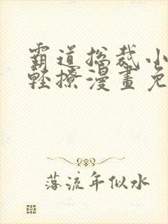 霸道总裁小叔请轻撩漫画免费下拉式六漫画