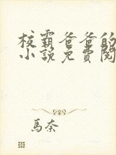 校霸爸爸的秘密小说免费阅读