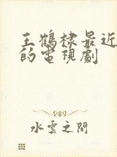 王鹤棣最近演过的电视剧