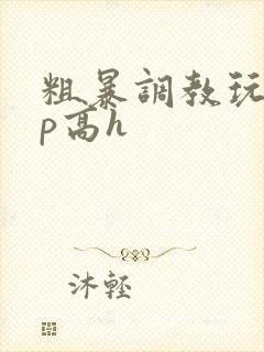 粗暴调教玩弄np高h