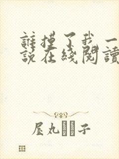 谁摸了我一下小说在线阅读