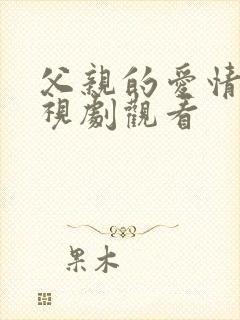 父亲的爱情 电视剧观看封面