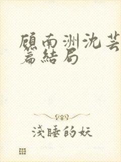 顾南洲沈芸番外篇结局