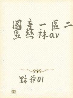 国产一区二区三区丝袜av