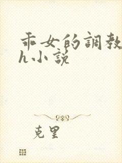 乖女的调教日常h小说封面