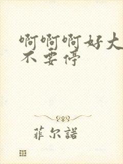 啊啊啊好大好爽不要停封面