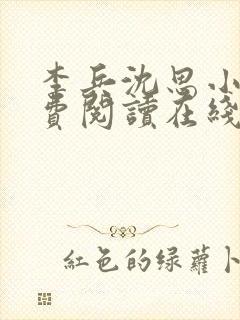 李兵沈思小说免费阅读在线