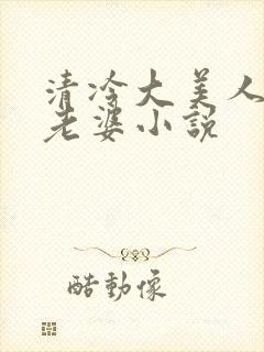 清冷大美人是我老婆小说