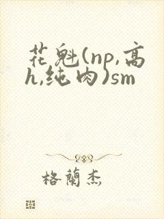 花魁(np,高h,纯肉)sm