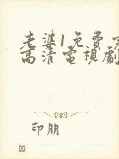 老婆1免费完整高清电视剧