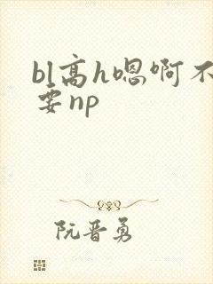 bl高h嗯啊不要np