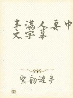 丰满人妻中出中文字幕