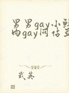 男男gay小鲜肉gay网站亚洲