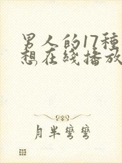 男人的17种幻想在线播放