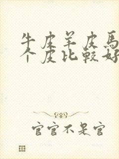 牛皮羊皮马皮哪个皮比较好