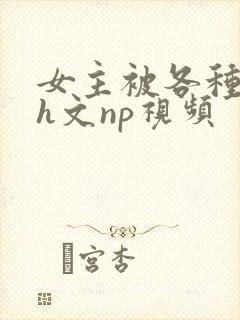 女主被各种调教h文np视频