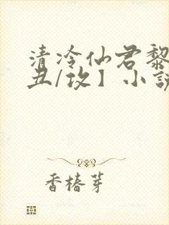 清冷仙君黎锦【丑/攻】小说