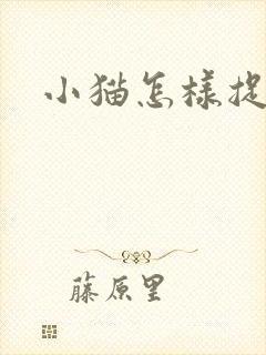 小猫怎样捉老鼠