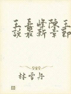 王长峰陈玉娆小说最新章节更新内容