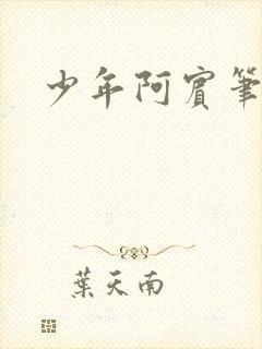 少年阿宾笔趣阁