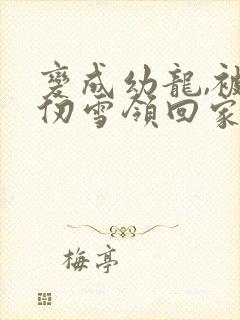 变成幼龙,被千仞雪领回家