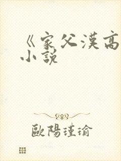 《家父汉高祖》小说