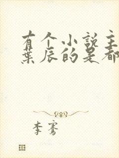 有个小说主角叫叶辰的是都市什么小说