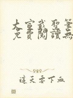 大宣武圣笔趣阁免费阅读无弹窗