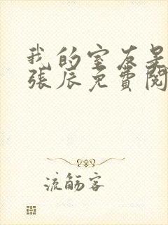 我的室友是直男张辰免费阅读