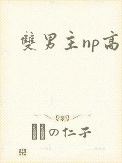 双男主np高h